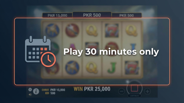 Payment and PKR controls in winbaobab - 6